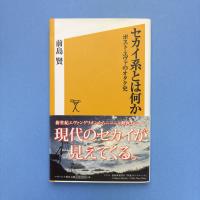 セカイ系とは何か ポスト・エヴァのオタク史