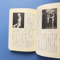 写真論集成