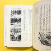 美的判断力考