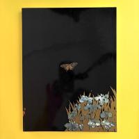 江戸蒔絵 ―光悦・光琳・羊遊斎― 展覧会図録