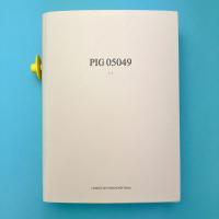 PIG 05049