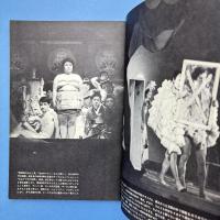 美術手帖 1967年11月号 特集：ボナール/日本のアンダーグラウンド・アート