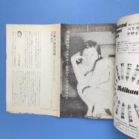 美術手帖 1967年11月号 特集：ボナール/日本のアンダーグラウンド・アート