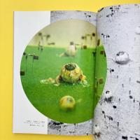 美術手帖 1977年6月号 特集：表現と暴力/ラウシェンバーグ