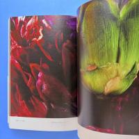 ENCYCLOPEDIA OF FLOWERS 植物図鑑
