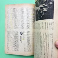 美術手帖 1977年5月号 特集：ミロのメタモルフォーズ