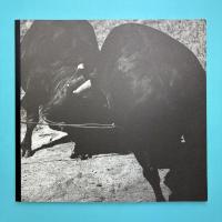 JIRO KONAMI "I.D 1986"