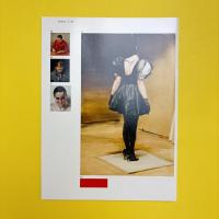 Michaël Borremans：Shades of Doubt