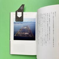 スターフライヤー 漆黒の翼、過野津を乗せて