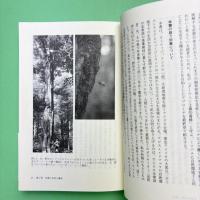野生ミツバチの知られざる生活