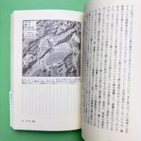 野生ミツバチの知られざる生活