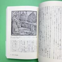野生ミツバチの知られざる生活