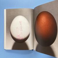 The Gourmand’s Egg
