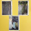 雑誌 地下室 草号 1〜3