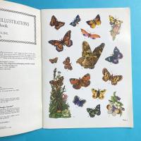 Full-Color Decorative Butterfly Illustrations CD-ROM and Book