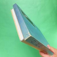 「白い群れ」浜いさを作品集