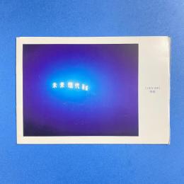 CHEN WEI 陳維 チェン・ウェイ「ナイト・パリ」パンフレット