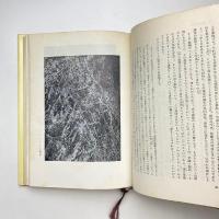 イコンとイデア 人類史における芸術の発展