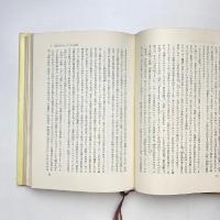 イコンとイデア 人類史における芸術の発展