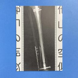 他山の空似の記録