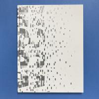 VOCA展 2020 現代美術の展望 ー新しい平面の作家たち カタログ