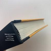 MANUEL SAEZ　マニュエル・サエス