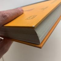 MANUEL SAEZ　マニュエル・サエス