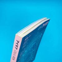 アイデア idea 325 2007.11 特集：花形装飾の博物誌