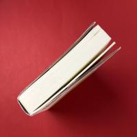 芸のこと技のこと：江口隆哉対談集