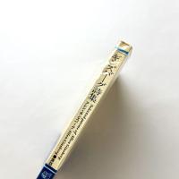 ギンズバーグ詩集　新装版