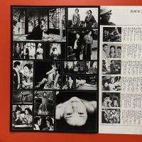 清順流フィルム歌舞伎 陽炎座 パンフレット