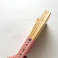 タゴール詩集 ギーターンジャリ 岩波文庫