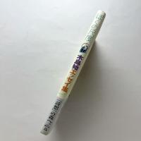 ぼくの尺度：木島始エッセイ集