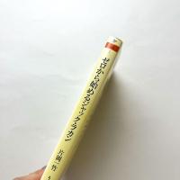 ゼロから始めるジャック・ラカン——疾風怒濤精神分析入門　増補改訂版