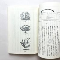 ゼロから始めるジャック・ラカン——疾風怒濤精神分析入門　増補改訂版