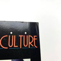 TECHNOCULTURE