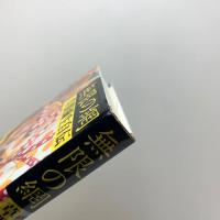 無限の網　草間彌生自伝