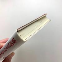 破滅のマヤコフスキー