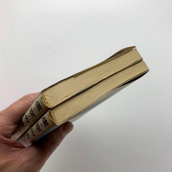 【中古】 虚空の舟 荘子 上/ラジニーシ・エンタープライズ・ジャパン/アチャーヤ・ラジャニース 中古】 虚空の舟 荘子 上/ラジニーシ・エンタープライズ