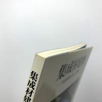 集成材建築　木造建築の新しい潮流