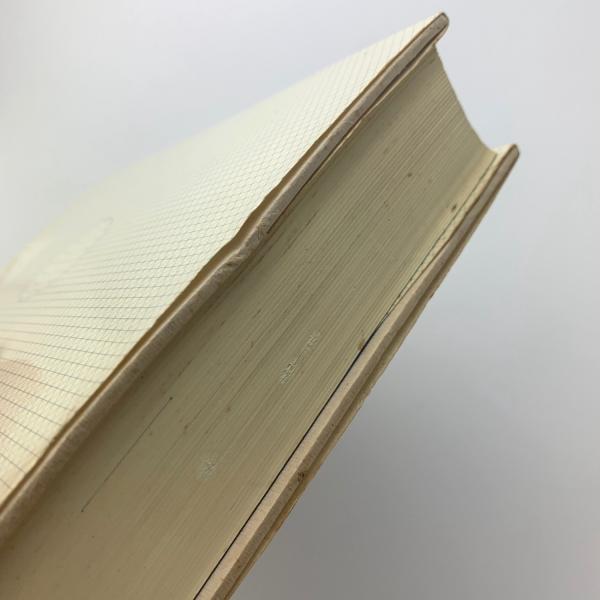 クリティカル・パス 人類の生存戦略と未来への選択(バックミンスター