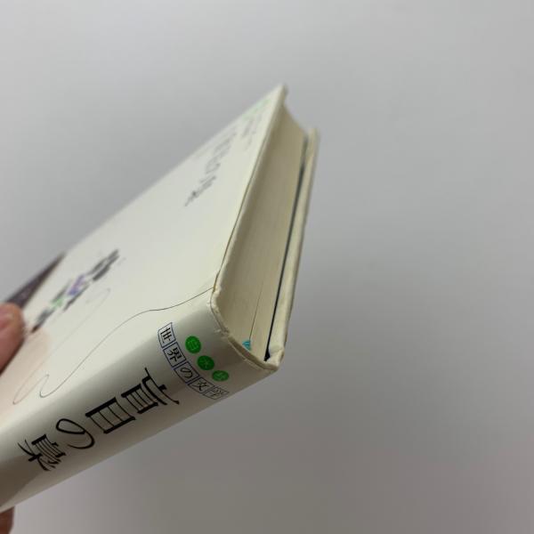 【中古】 盲目の梟/白水社/サディク・ヒダーヤト Amazon.co.jp: 盲目の梟 (白水Uブックス) : サーデク