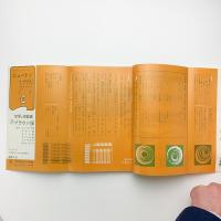 美術手帖 1966年1月号