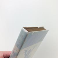 跳ねない蛙