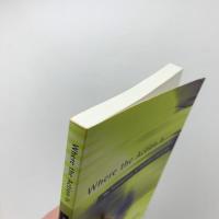 Where the Action Is: The Foundations of Embodied Interaction