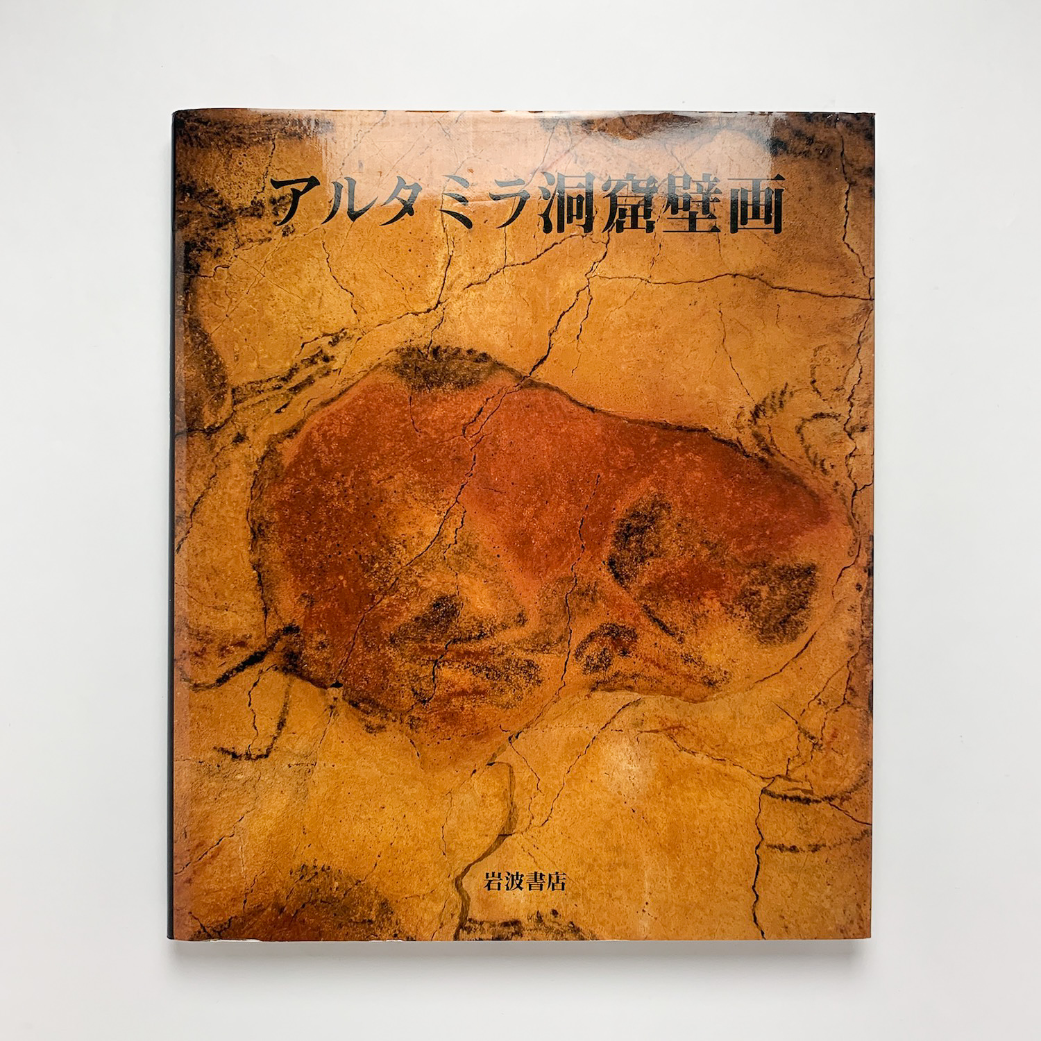 アルタミラ洞窟壁画 アントニオ ベルトラン監修 古本 中古本 古書籍の通販は 日本の古本屋 日本の古本屋 アルタミラ洞窟壁画 アントニオ ベルトラン監修 古本 中古本 古書籍の通販は 日本の古本屋 日本の古本屋