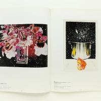 The Graphics of JAMES ROSENQUIST ジェームズ・ローゼンクイスト展