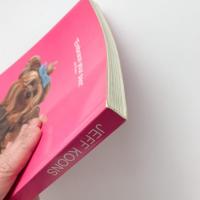 JEFF KOONS