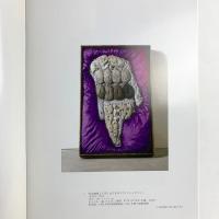荒川修作 60年代立体作品展