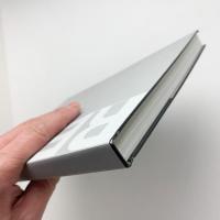 トランス/リアル　非実体的美術の可能性